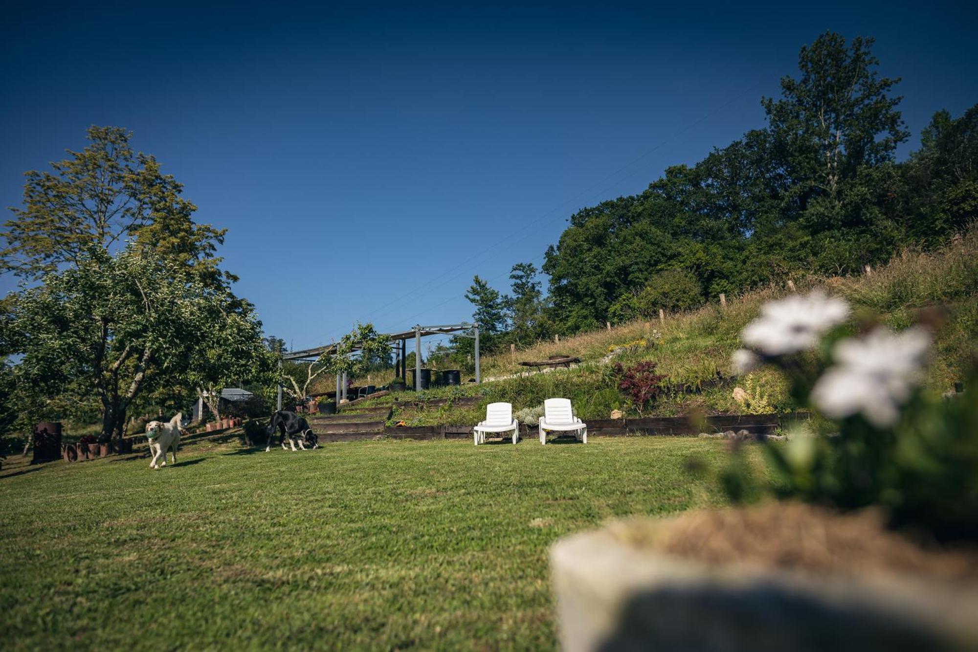 Finca La Naguada Casa Rural En Asturias Beloncio Extérieur photo
