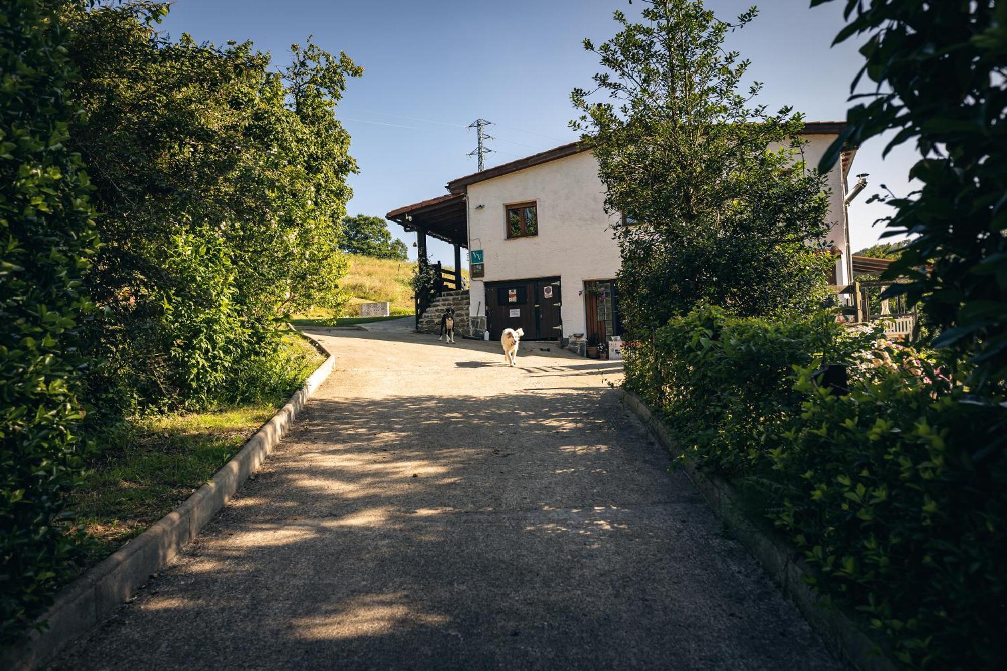 Finca La Naguada Casa Rural En Asturias Beloncio Extérieur photo