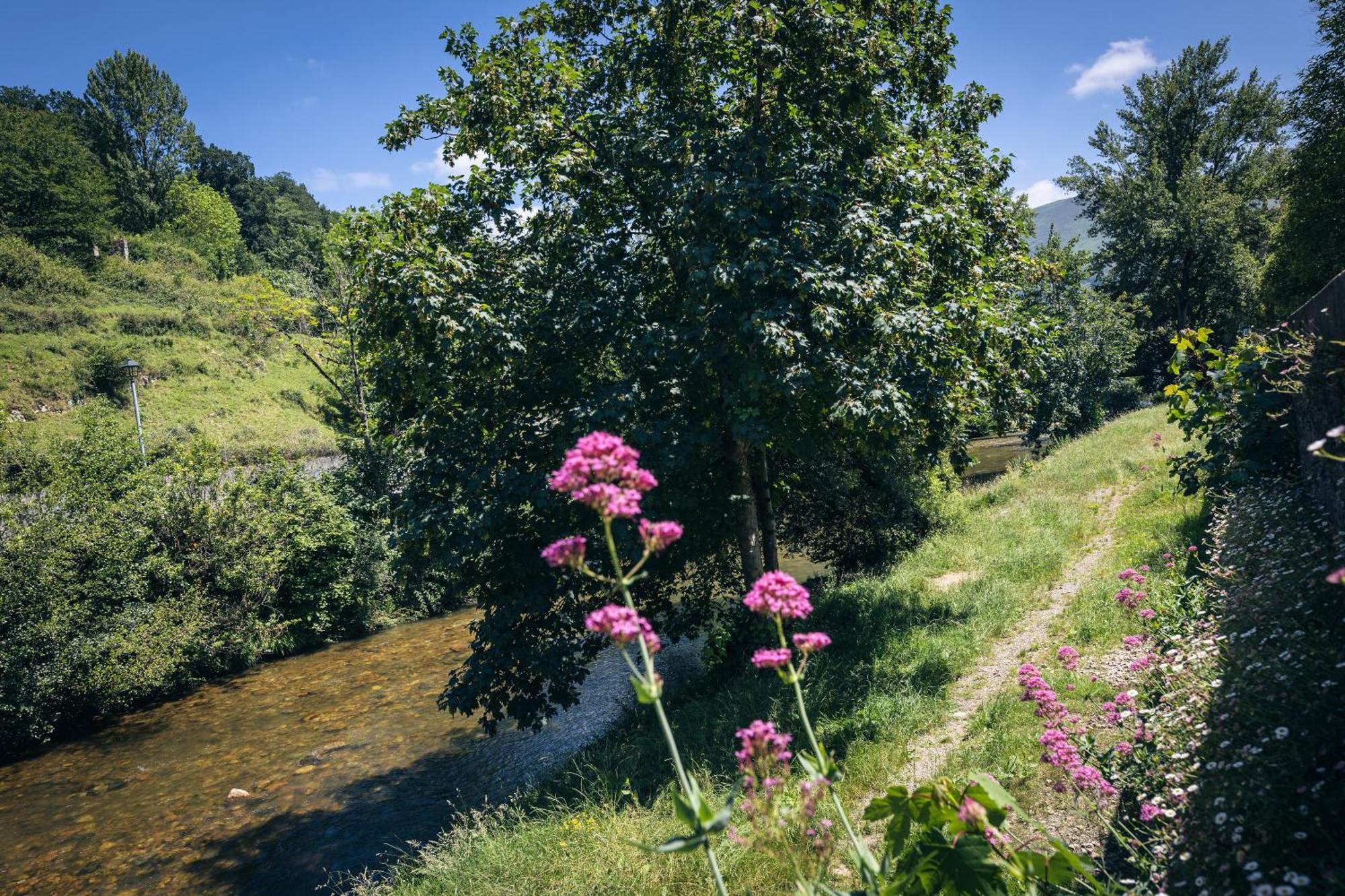 Finca La Naguada Casa Rural En Asturias Beloncio Extérieur photo